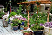 GARDEN_PLANT_CARE